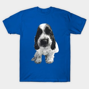 English Cocker Spaniel - Cute Blue Roan puppy dog T-Shirt